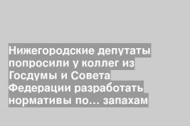 Нижегородские депутаты попросили у коллег из Госдумы и Совета Федерации разработать нормативы по… запахам
