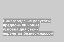 Нижегородские депутаты предложили новые условия для своих перелетов бизнес-классом