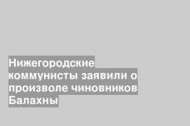 Нижегородские коммунисты заявили о произволе чиновников Балахны