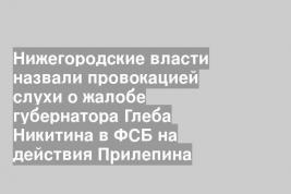Нижегородские власти назвали провокацией слухи о жалобе губернатора Глеба Никитина в ФСБ на действия Прилепина