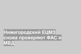Нижегородский ЕЦМЗ снова проверяют ФАС и МВД