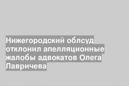 Нижегородский облсуд отклонил апелляционные жалобы адвокатов Олега Лавричева