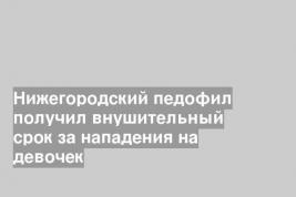 Нижегородский педофил получил внушительный срок за нападения на девочек