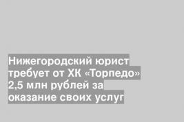 Нижегородский юрист требует от ХК «Торпедо» 2,5 млн рублей за оказание своих услуг