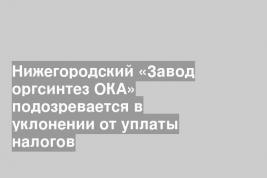 Нижегородский «Завод оргсинтез ОКА» подозревается в уклонении от уплаты налогов