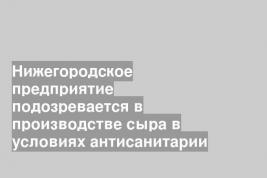 Нижегородское предприятие подозревается в производстве сыра в условиях антисанитарии