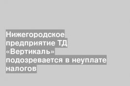 Нижегородское предприятие ТД «Вертикаль» подозревается в неуплате налогов