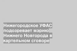 Нижегородское УФАС подозревает мэрию Нижнего Новгорода в картельном сговоре
