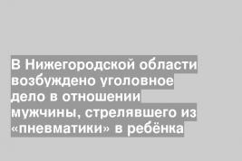 В Нижегородской области возбуждено уголовное дело в отношении мужчины, стрелявшего из «пневматики» в ребёнка