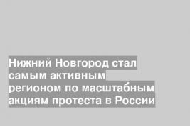 Нижний Новгород стал самым активным регионом по масштабным акциям протеста в России