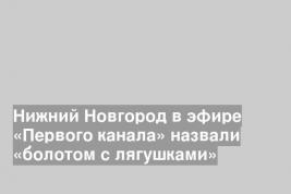 Нижний Новгород в эфире «Первого канала» назвали «болотом с лягушками»