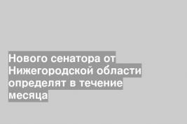 Нового сенатора от Нижегородской области определят в течение месяца