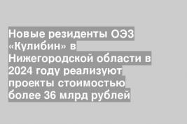Новые резиденты ОЭЗ «Кулибин» в Нижегородской области в 2024 году реализуют проекты стоимостью более 36 млрд рублей