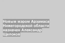 Новым мэром Арзамаса Нижегородской области назначен Александр Щелоков