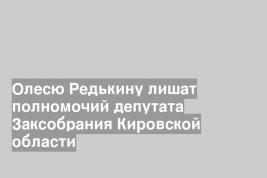 Олесю Редькину лишат полномочий депутата Заксобрания Кировской области