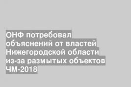 ОНФ потребовал объяснений от властей Нижегородской области из-за размытых объектов ЧМ-2018