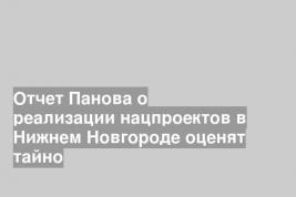 Отчет Панова о реализации нацпроектов в Нижнем Новгороде оценят тайно