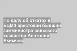По делу об откатах в ЕЦМЗ арестован бывший замминистра сельского хозяйства Анатолий Якимчев
