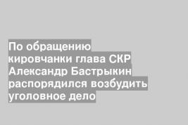 По обращению кировчанки глава СКР Александр Бастрыкин распорядился возбудить уголовное дело