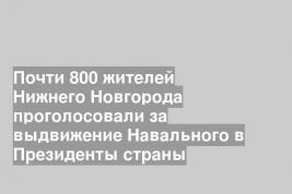 Почти 800 жителей Нижнего Новгорода проголосовали за выдвижение Навального в Президенты страны