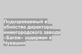 Подозреваемый в убийстве директора нижегородского завода «Багем» задержан в Чувашии