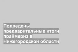 Подведены предварительные итоги праймериз в Нижегородской области
