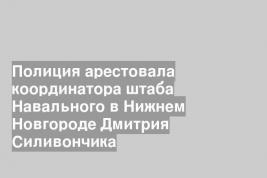 Полиция арестовала координатора штаба Навального в Нижнем Новгороде Дмитрия Силивончика