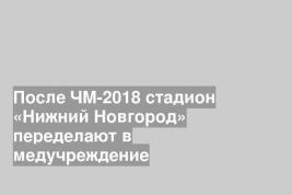 После ЧМ-2018 стадион «Нижний Новгород» переделают в медучреждение