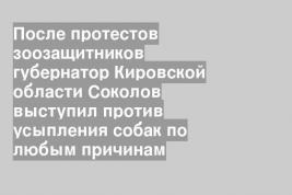 После протестов зоозащитников губернатор Кировской области Соколов выступил против усыпления собак по любым причинам