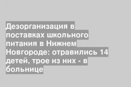 Дезорганизация в поставках школьного питания в Нижнем Новгороде: отравились 14 детей, трое из них - в больнице