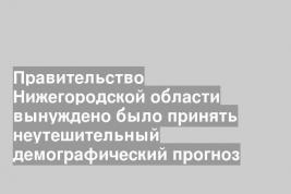 Правительство Нижегородской области вынуждено было принять неутешительный демографический прогноз