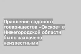 Правление садового товарищества «Окское» в Нижегородской области было захвачено неизвестными