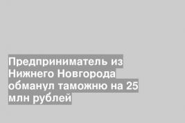Предприниматель из Нижнего Новгорода обманул таможню на 25 млн рублей