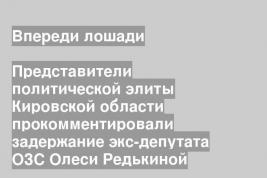 Представители политической элиты Кировской области прокомментировали задержание экс-депутата ОЗС Олеси Редькиной
