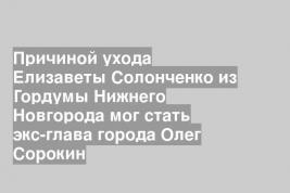 Причиной ухода Елизаветы Солонченко из Гордумы Нижнего Новгорода мог стать экс-глава города Олег Сорокин