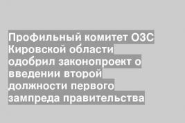 Профильный комитет ОЗС Кировской области одобрил законопроект о введении второй должности первого зампреда правительства