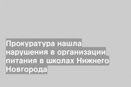 Прокуратура нашла нарушения в организации питания в школах Нижнего Новгорода