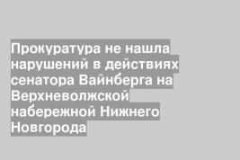 Прокуратура не нашла нарушений в действиях сенатора Вайнберга на Верхневолжской набережной Нижнего Новгорода