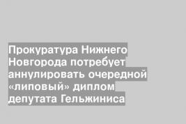 Прокуратура Нижнего Новгорода потребует аннулировать очередной «липовый» диплом депутата Гельжиниса