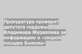 Прокуратура проверит депутата гордумы Владимира Журавлева за информацию о «скорой посадке Быкова»