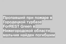 Пропавший при пожаре в Городецкой турбазе ForREST Green в Нижегородской области мальчик найден погибшим
