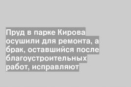 Пруд в парке Кирова осушили для ремонта, а брак, оставшийся после благоустроительных работ, исправляют