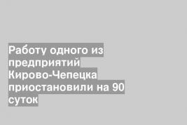 Работу одного из предприятий Кирово-Чепецка приостановили на 90 суток