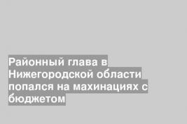 Районный глава в Нижегородской области попался на махинациях с бюджетом