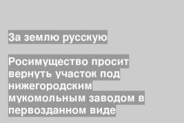 Росимущество просит вернуть участок под нижегородским мукомольным заводом в первозданном виде
