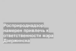 Росприроднадзор намерен привлечь к ответственности мэра Дзержинска