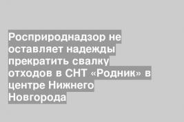Росприроднадзор не оставляет надежды прекратить свалку отходов в СНТ «Родник» в центре Нижнего Новгорода
