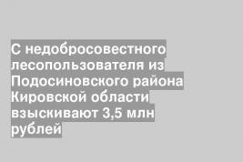 С недобросовестного лесопользователя из Подосиновского района Кировской области взыскивают 3,5 млн рублей