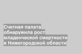 Счетная палата обнаружила рост младенческой смертности в Нижегородской области