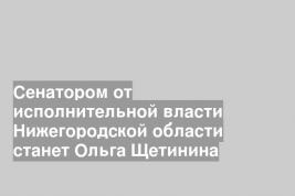 Сенатором от исполнительной власти Нижегородской области станет Ольга Щетинина